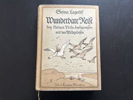 Wunderbare Reise