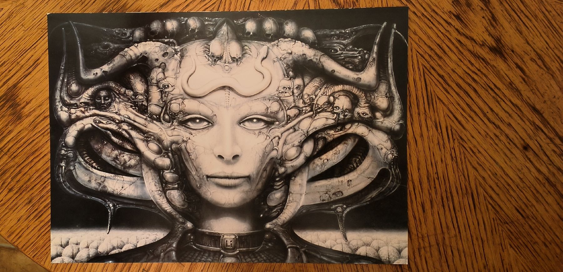 Foto & Immagini: HR Giger Posterbook mit 6 Kunstdrucken – Usato da Wädenswil venduto da M_Gee 7