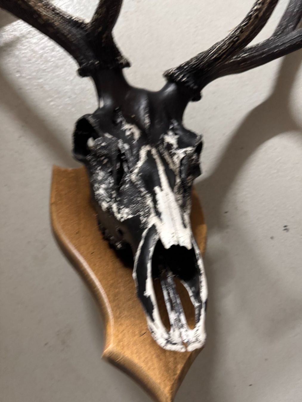 Statuette: Euro Wall Hanger for Deer Head – Usato da Gsteig b. Gstaad venduto da Auctionly 1
