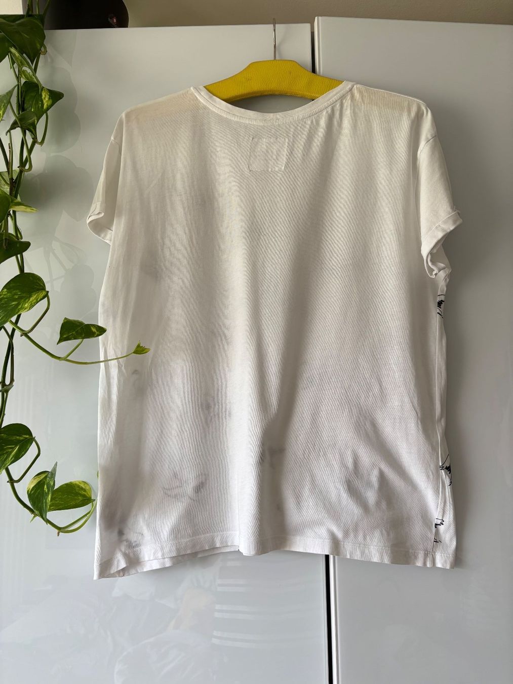 Armedangels T-Shirts: ARMED ANGELS Shirt mit Vögeln Gr. M – Gebraucht aus Zürich von missmodernage 3