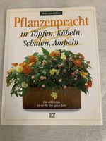 Pflanzenpracht - Tolle Ideen für Töpfe & Kübel -Bü4