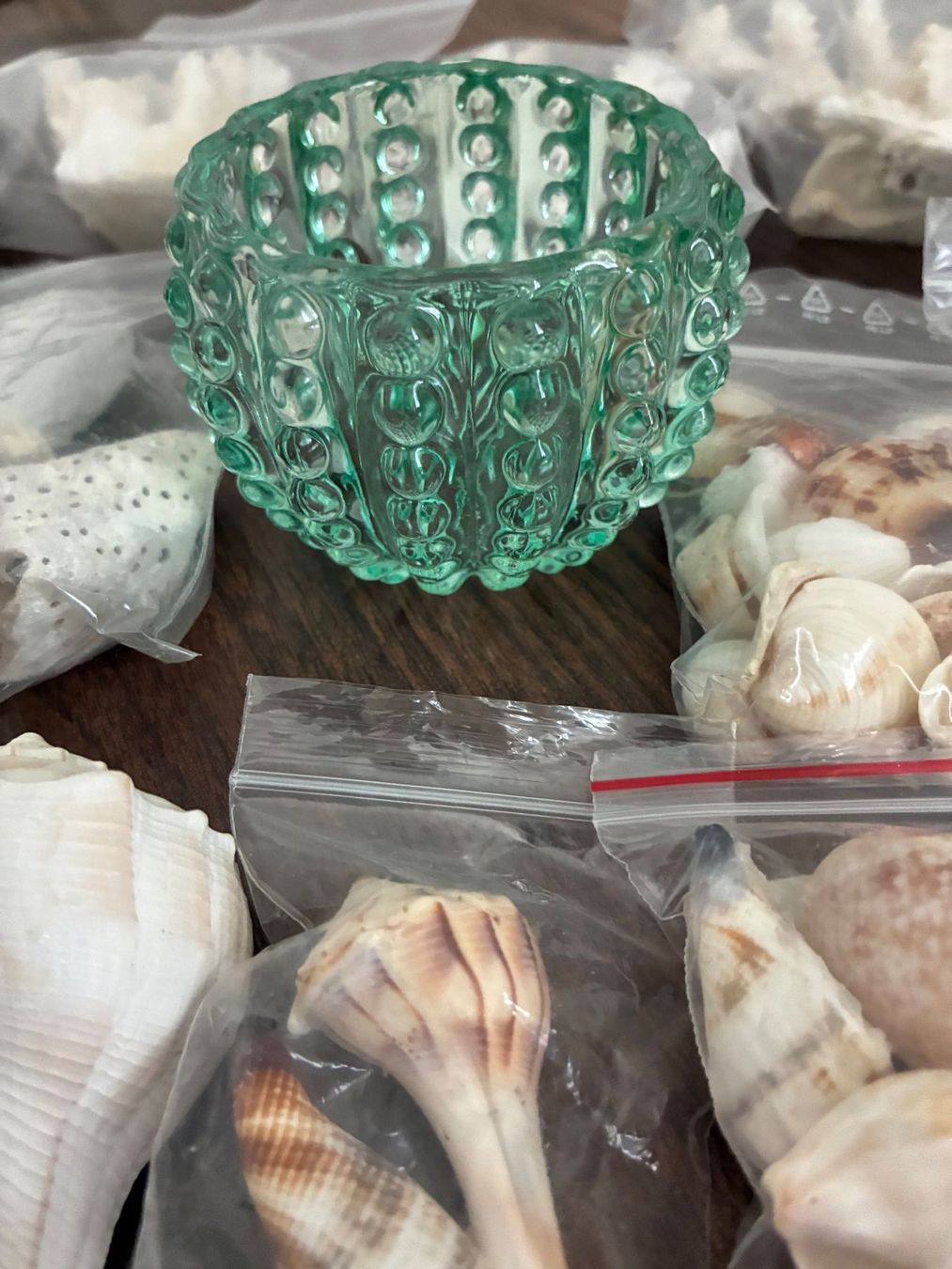 Fossili: Muschelset Diverses – Usato da Frick venduto da sandra037 6