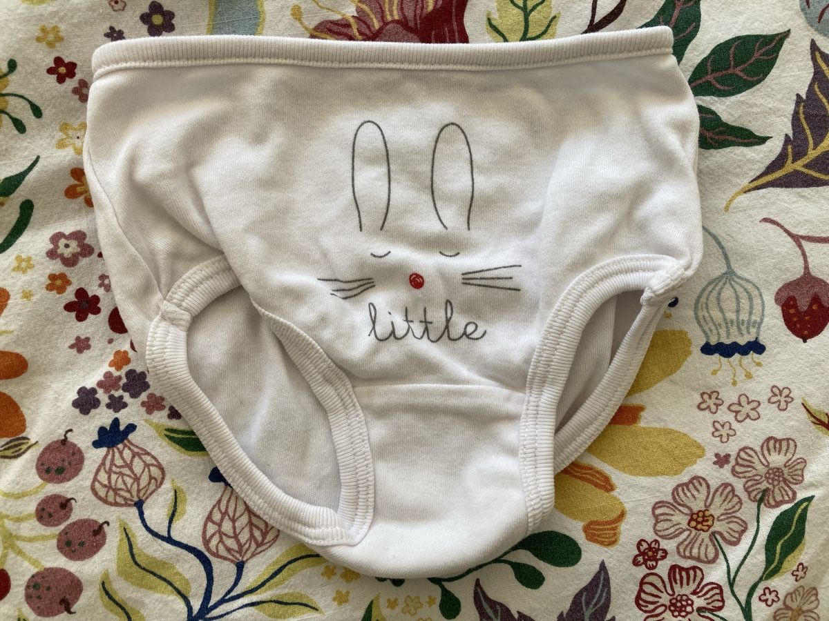 Biancheria intima: Culotte Verbaudet t. 74 – Usato da Genève venduto da Eschindler