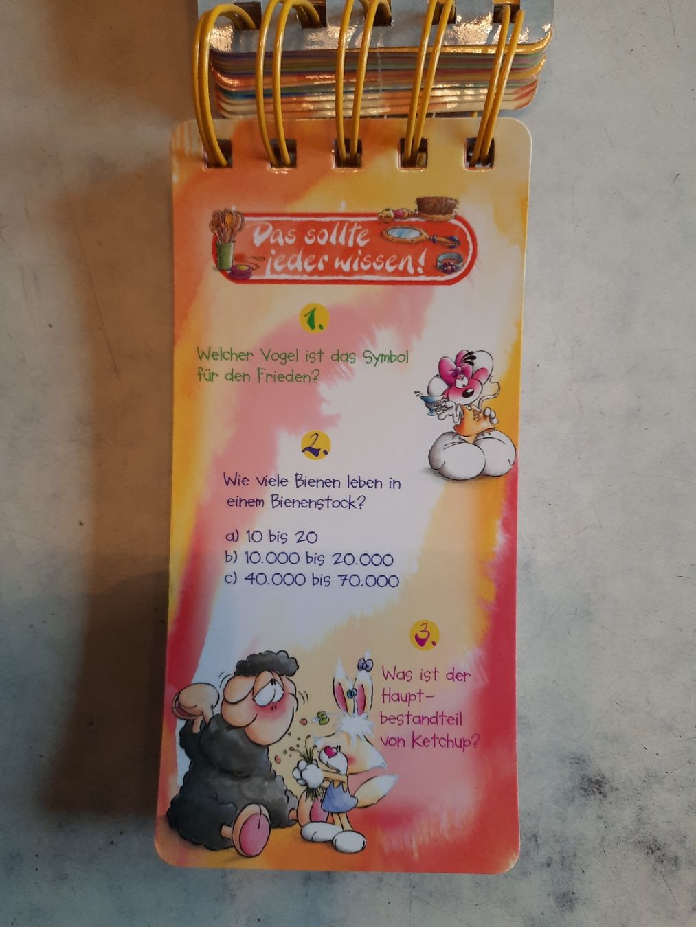 Spiele: Diddl Diddlinas Rätsel - Rate - Quiz – Gebraucht aus Nottwil von mar_jqm7 8