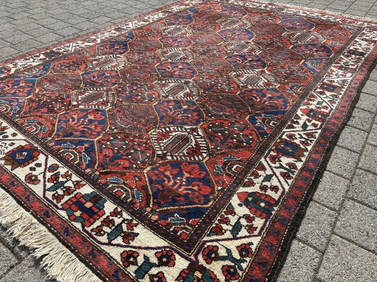 Tappeti: Grosser Bakhtiar - handgeknüpfter Perserteppich – Usato da Bennau venduto da Mayer_Carpets 3