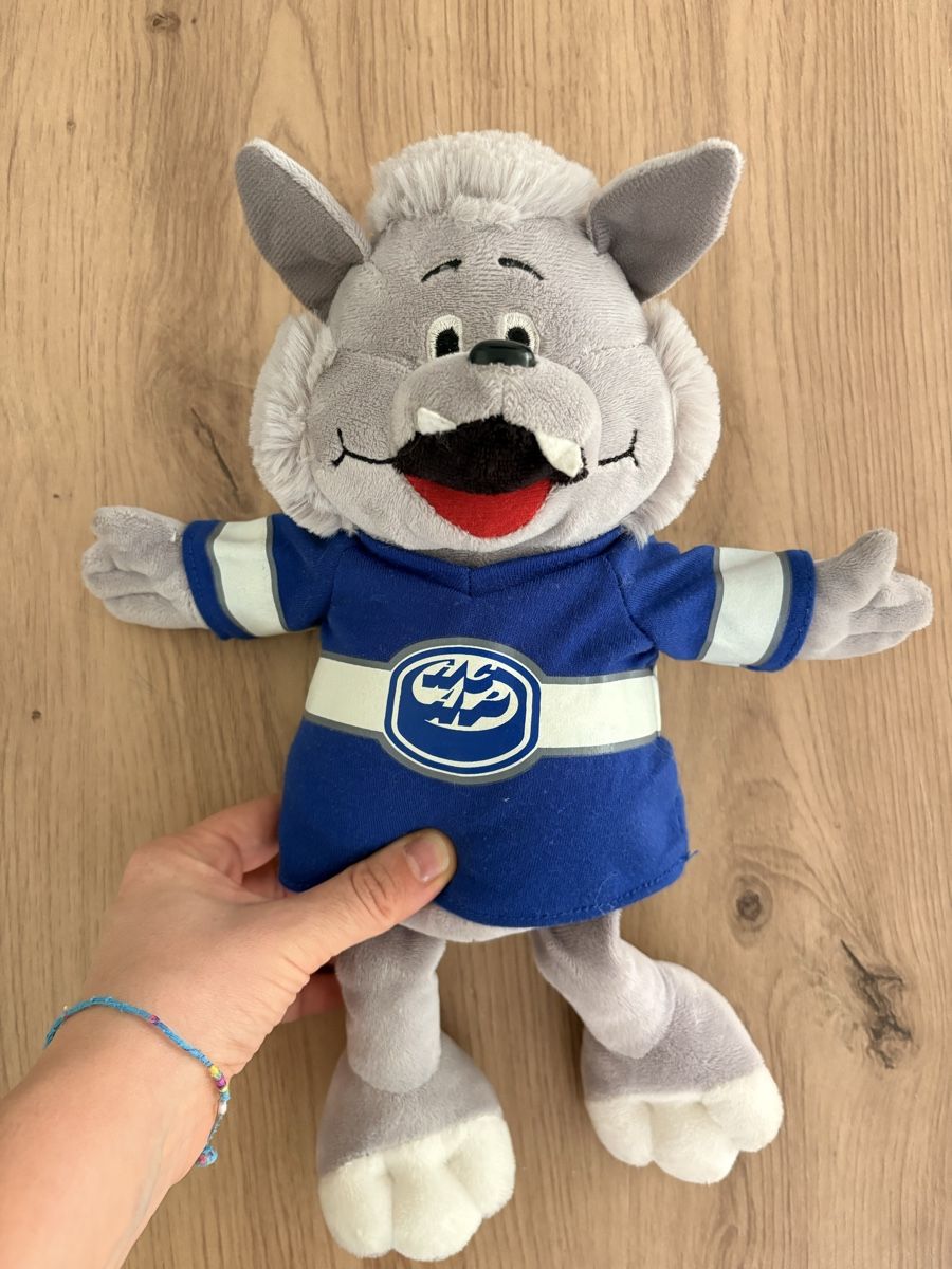 Giocattoli: Peluche Dribbli mascotte HCAP – Usato da S. Antonino venduto da FedeKikka88 1