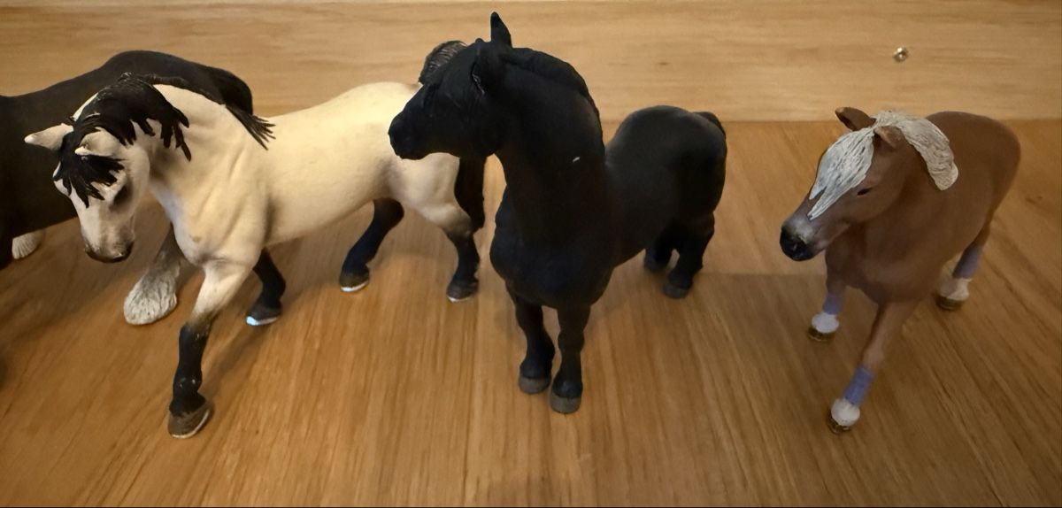 Schleich Spielzeuge: 5 Schleich Pferde – Gebraucht aus Ostermundigen von airline-trolley 1