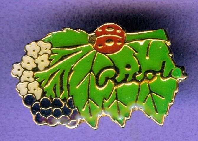 Placchette & Badge: Ricola   Sambucus – Usato da Winterthur venduto da Sammleroase