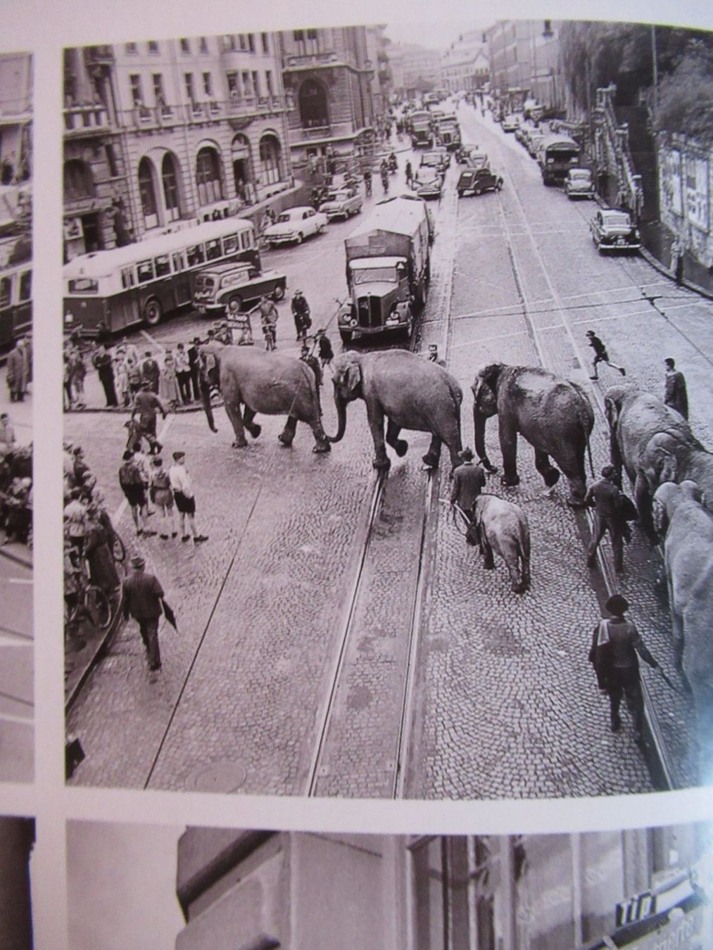 Libri: BERN BUCH - ANKOMMEN IN BERN – Nuovo (secondo la descrizione) da Moosseedorf venduto da haro01 9