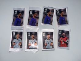 Panini WM 2026 Coca-Cola Sticker