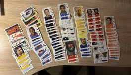 Panini WM 2006 92x Bilder ohne Doppelte - Top Zustand
