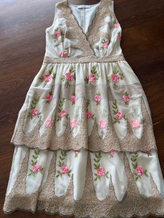 Blugirl Blumarine Gr. 36- Kleid mit Rosenstickerei!