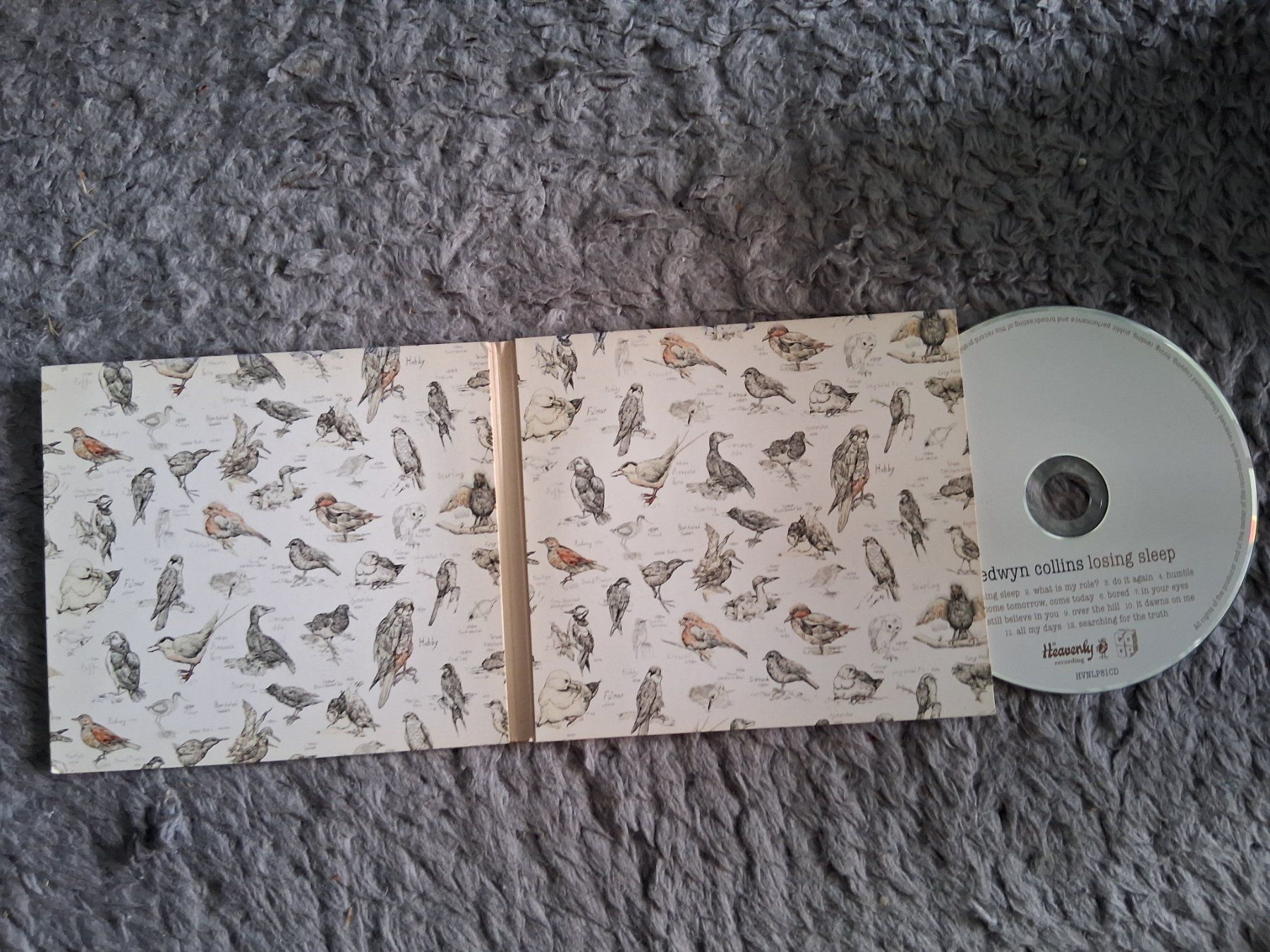 CD: EDWYN COLLINS     LOSING SLEEP     CD – Usato da Wetzikon ZH venduto da Ramones01 2