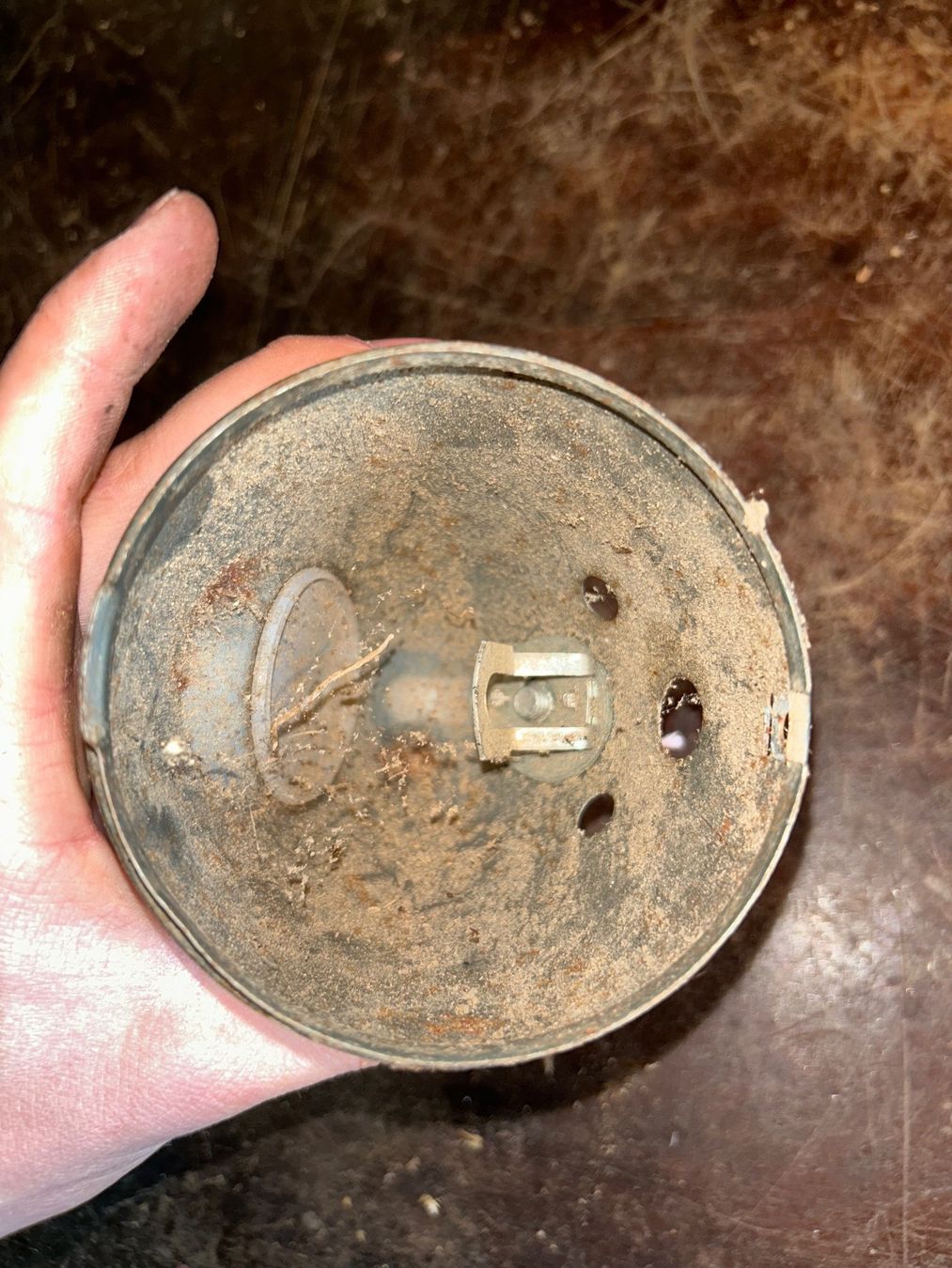 Puch Mofa-Ersatzteile: Mofa Eierlampe – Gebraucht aus Fahrni b. Thun von berger_tuning34 2