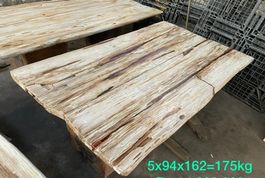 Tisch Fossil Esstisch Versteinertes Holz petrified wood