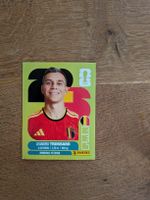Panini Bild BEL 18