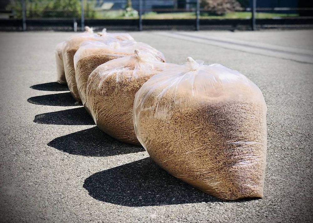 44+ Holzspäne Kaufen Garten, Der kompost versorgt die pflanzen mit