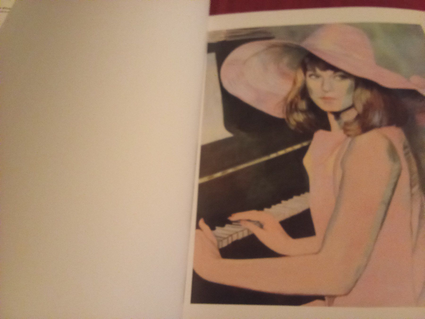 Libri: Birgit Megerle. The Painted Veil – Usato da Remetschwil venduto da Privatflohmi 1