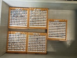 Gauges Messstifte 0.50-1.498 Uhrmacher auch Azurea