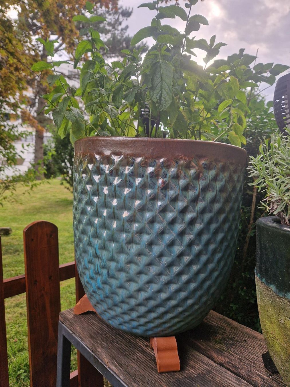 Blumentöpfe: Blumentopf – Gebraucht aus Luzern von TamaraMoser