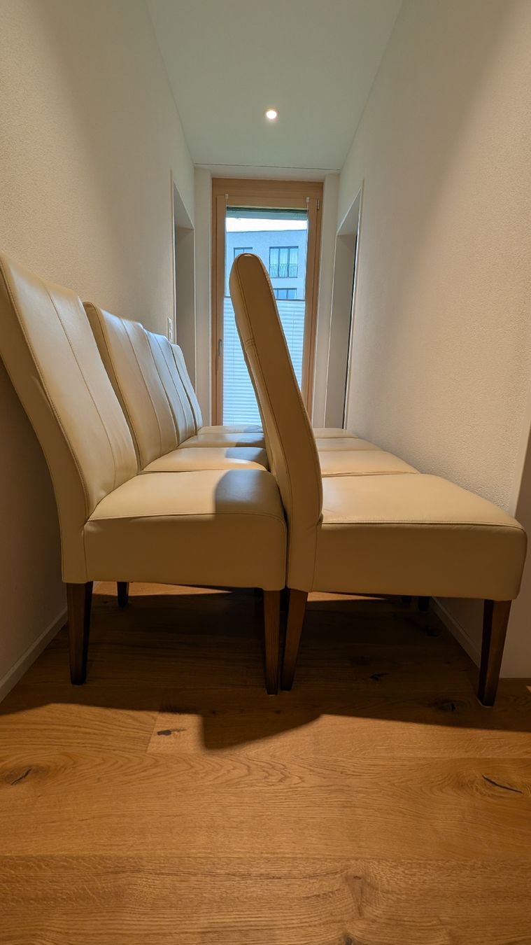Sedie: 8x Kunstlederstuhl – Usato da Chur venduto da chnuschti93 2
