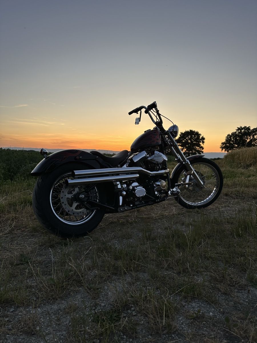 Harley-Davidson Chopper: Harley Davidson Softail – Usato da Alterswil FR venduto da Puchulus 2