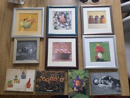 Anne Geddes Bilder 10er Set gerahmt guter Zustand