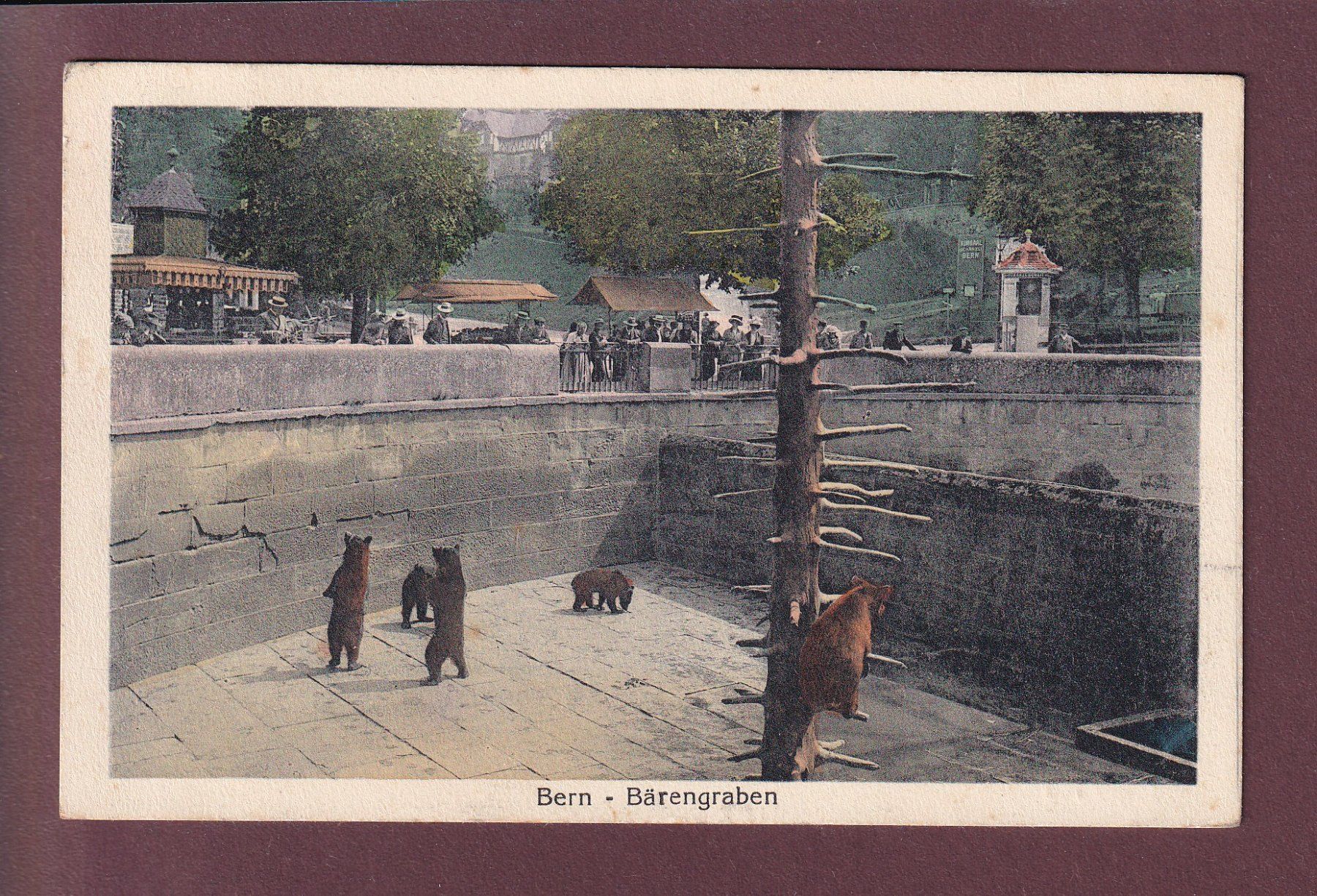 Cartoline postali: BERN - Bärengraben - 1927 – Usato da Pully venduto da nicecards