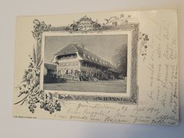 Ansichtskarte Grossaffoltern Bären gelaufen Jahr 1901