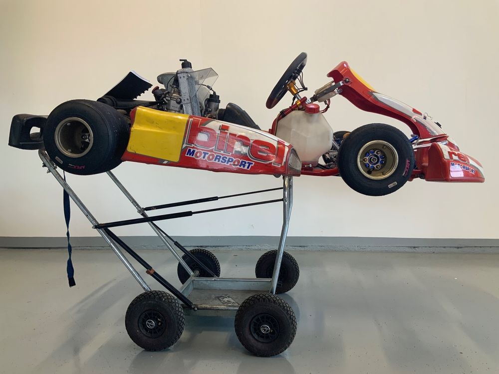 Birel Rotax Kart 125 ccm 4