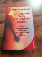 Die dunkle Seite des inneren Kindes. Stephen Wolinsky