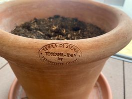 Original Terracotta Töpfe aus Siena (2 Stück)