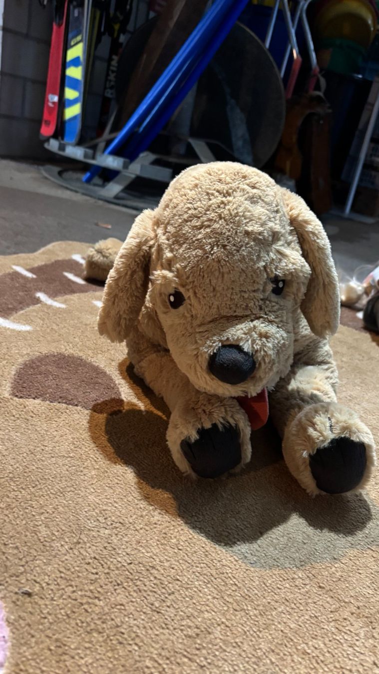 Spielzeuge: Plüsch Hund – Gebraucht aus Grüsch von DanusaFuchs_7214 1