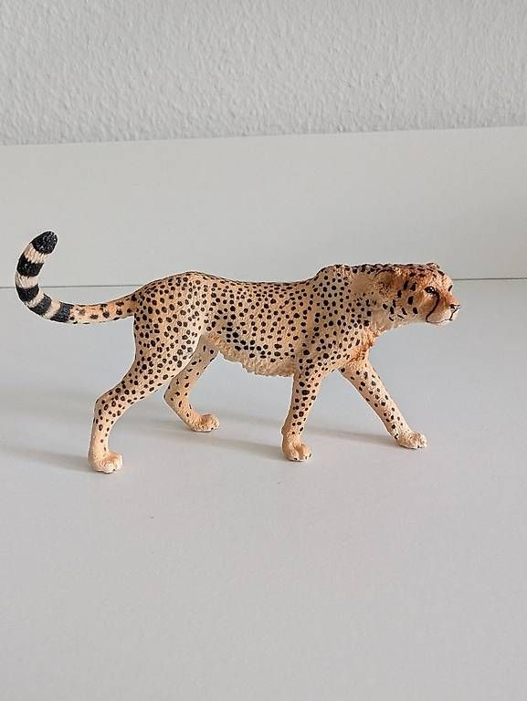 Figuren: Schleich Gepard – Gebraucht aus Wangen b. Olten von kim_x9zn 2