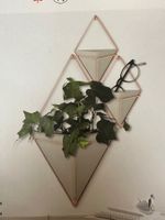 Wandvase von Umbra original verpackt
