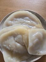 Kombucha Scoby 