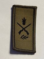 Klett Abzeichen für TAZ: INFANTERIE - Schweizer Armee