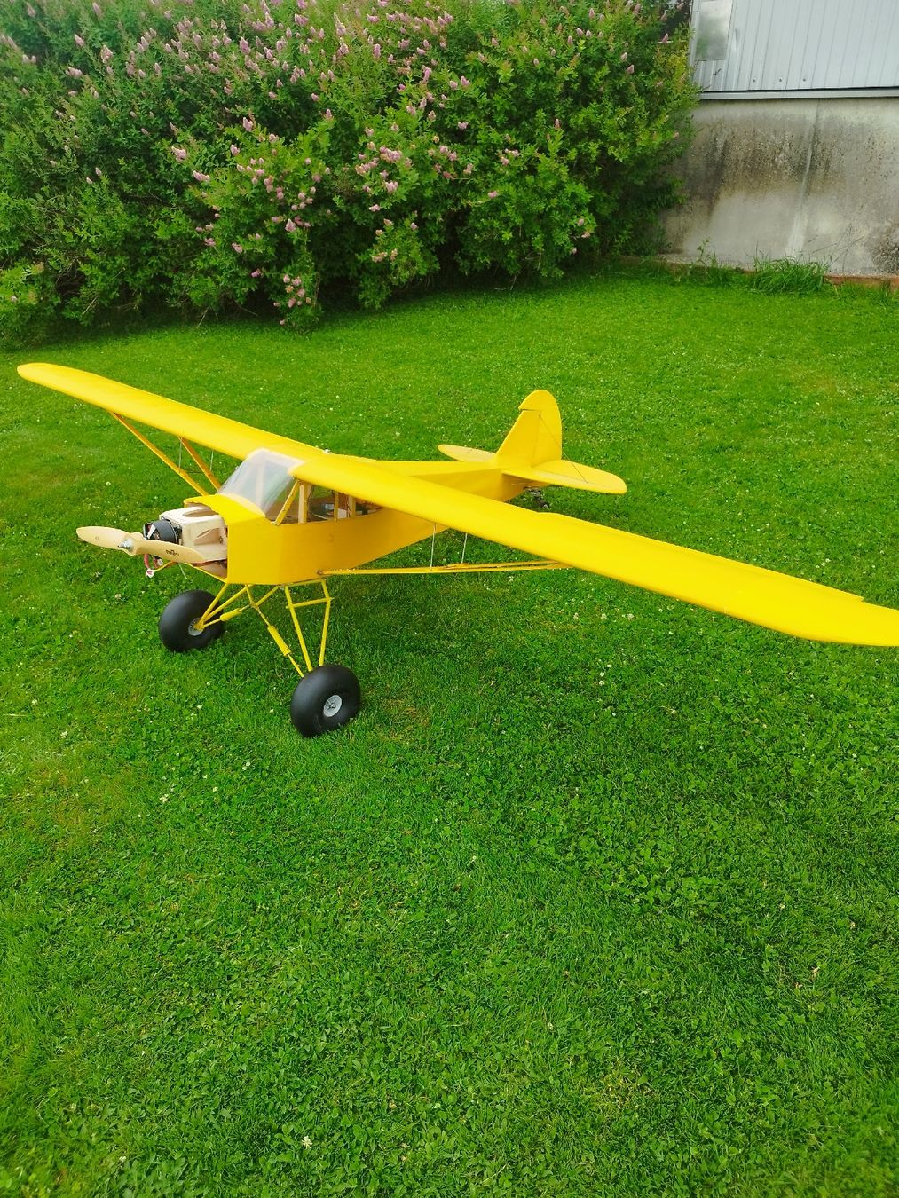 RC Modellbau: grosse Piper zu verkaufen – Gebraucht aus Menziken von Sintro