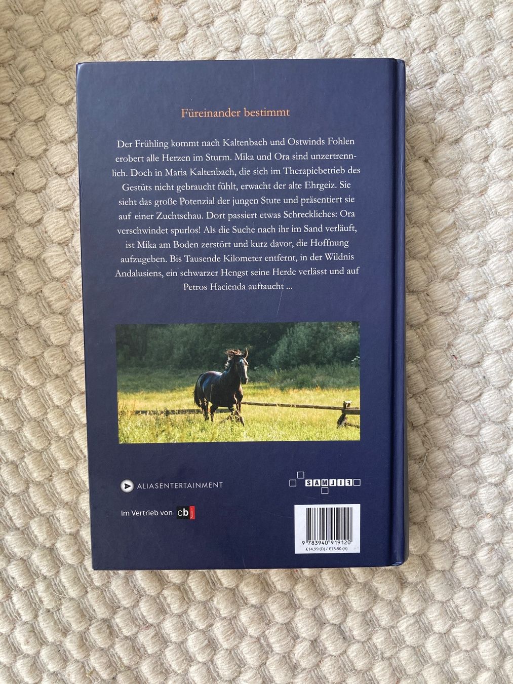Libri: Lea Schmidbauer | Ostwind - Auf der Suche nach Morgen – Usato da Basel venduto da AufeinenBlick 2