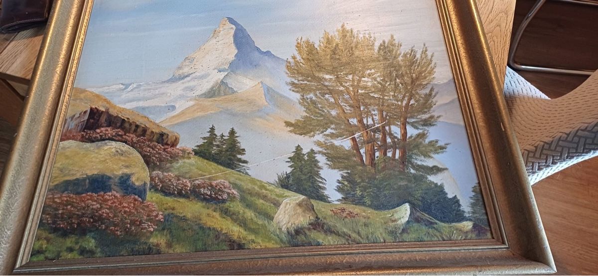 Dipinti: Landschafts Bild – Usato da Flawil venduto da Naphtali 1