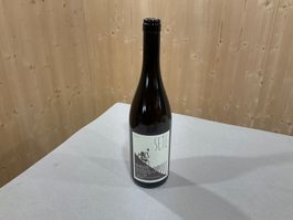 360 (9 Flaschen) Sete (Ri)Belletto Vino da Tavola Wein