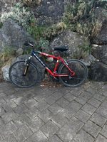 Mountainbike Focus High Peak rot blau gebrauchter Zustand