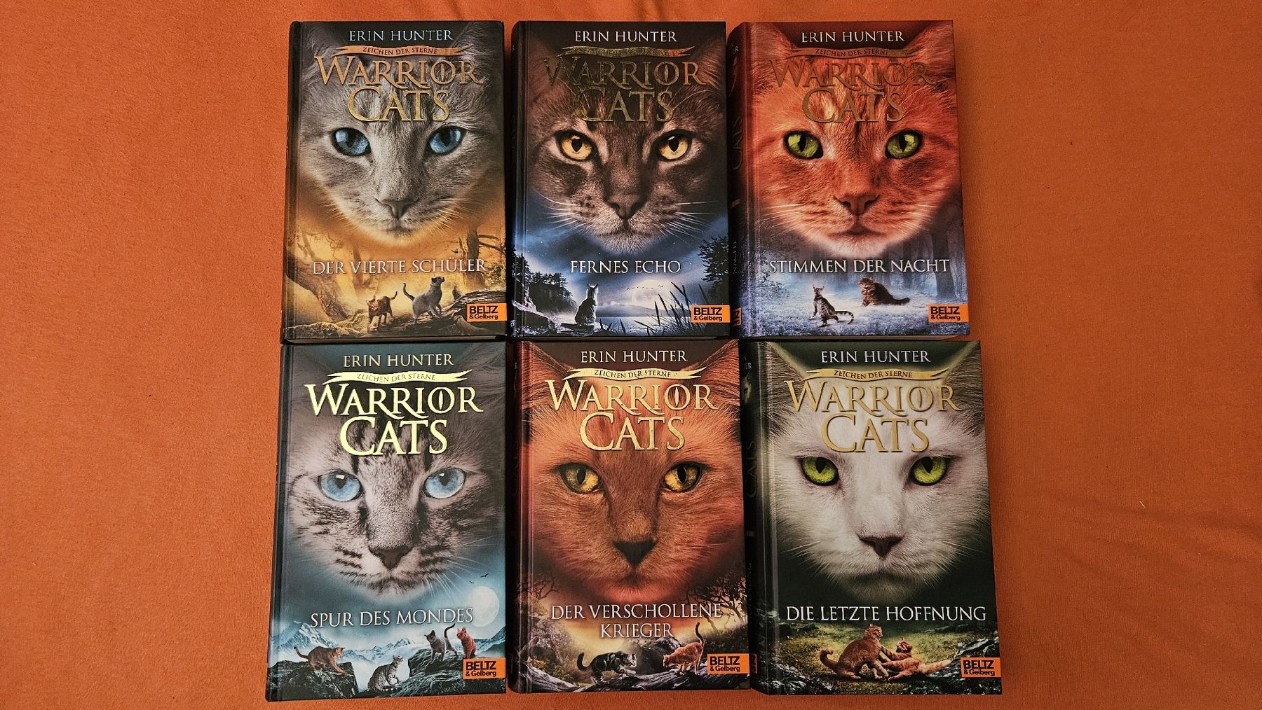 Bücher: Warrior Cats Staffel 4 – Gebraucht aus Grenchen von ailina_aeschlimann 1