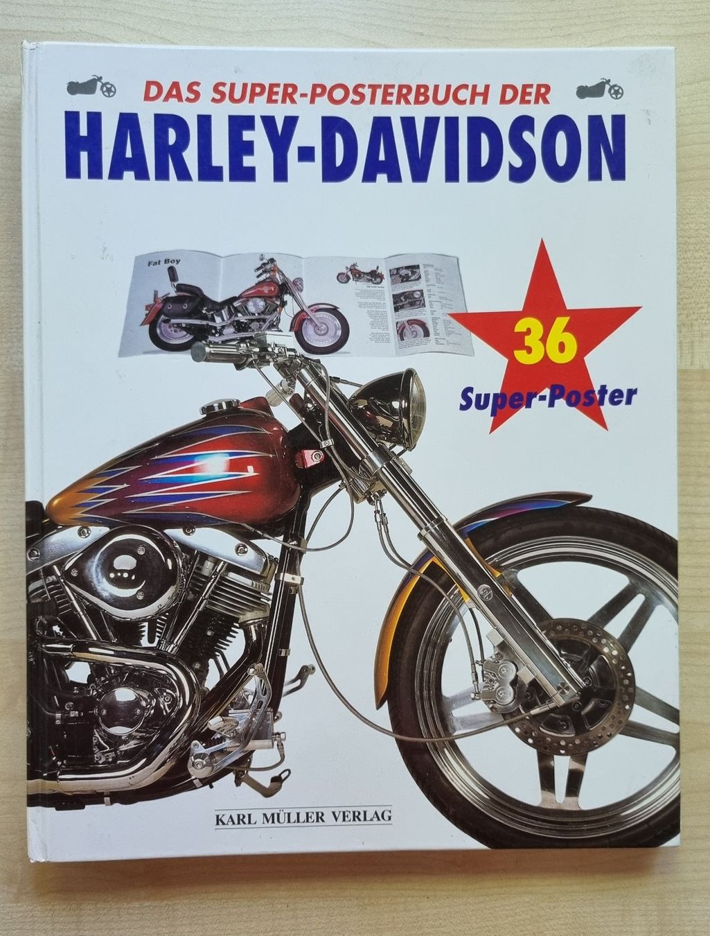 Libri: Posterbuch Harley Davidson – Usato da Schwerzenbach venduto da Plateman