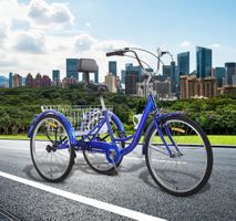 3-Rad Velo / Fahrrad