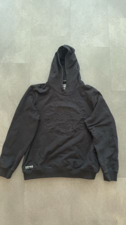 Camp David Hoodie