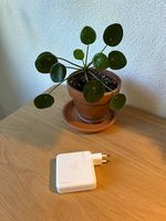 Original Apple 61W USB-C Netzteil