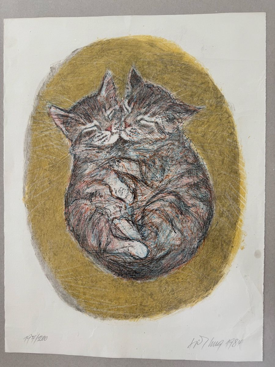 Grafica & Litografie: Fritz Hug Lithographie – Usato da Safenwil venduto da Corahund 2