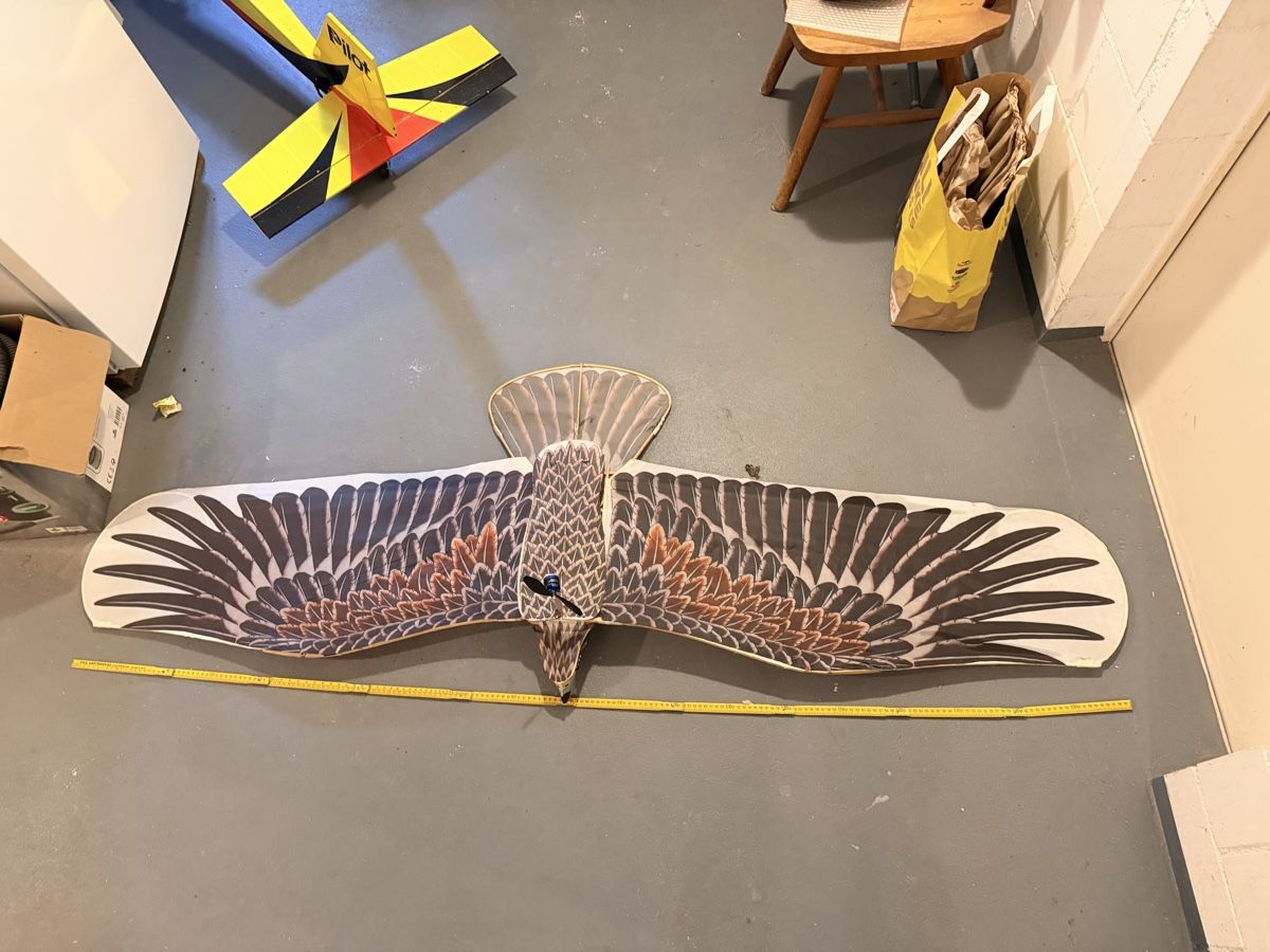RC Modellbau: Rc Falke Modellflugzeug – Defekt aus Mühlau von Snackbitez 2