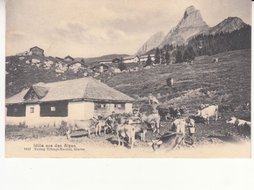 Cartoline postali: Alp Idille, ca. 1910 – Usato da Bürglen TG venduto da StampGraf